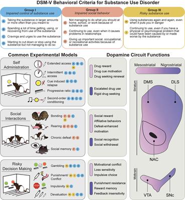 Dopamine Circuit Mechanisms of Addiction-Like Behaviors